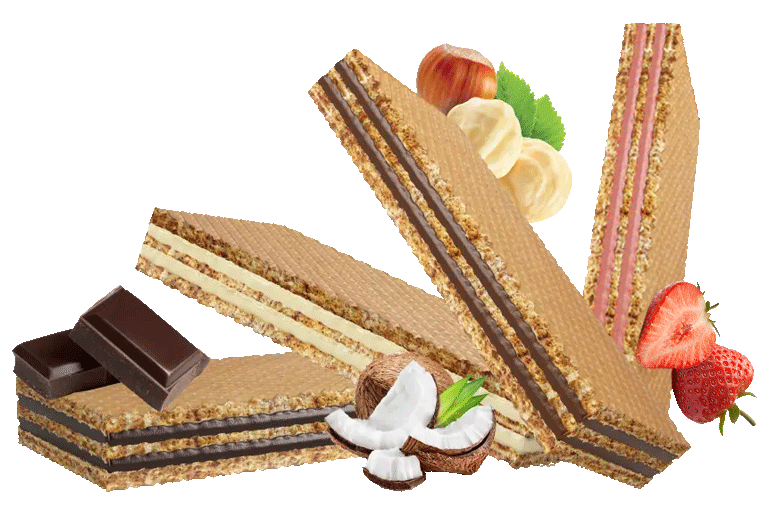 Blog Footer Image
